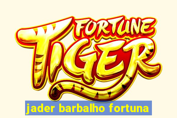 jader barbalho fortuna